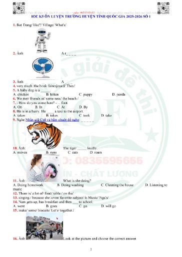 40 Đề thi IOE Lớp 5 ôn luyện các cấp năm học 2025-2026 (Có file nghe & Đáp án)